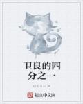 卫良的四分之一