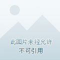 重生亚当
